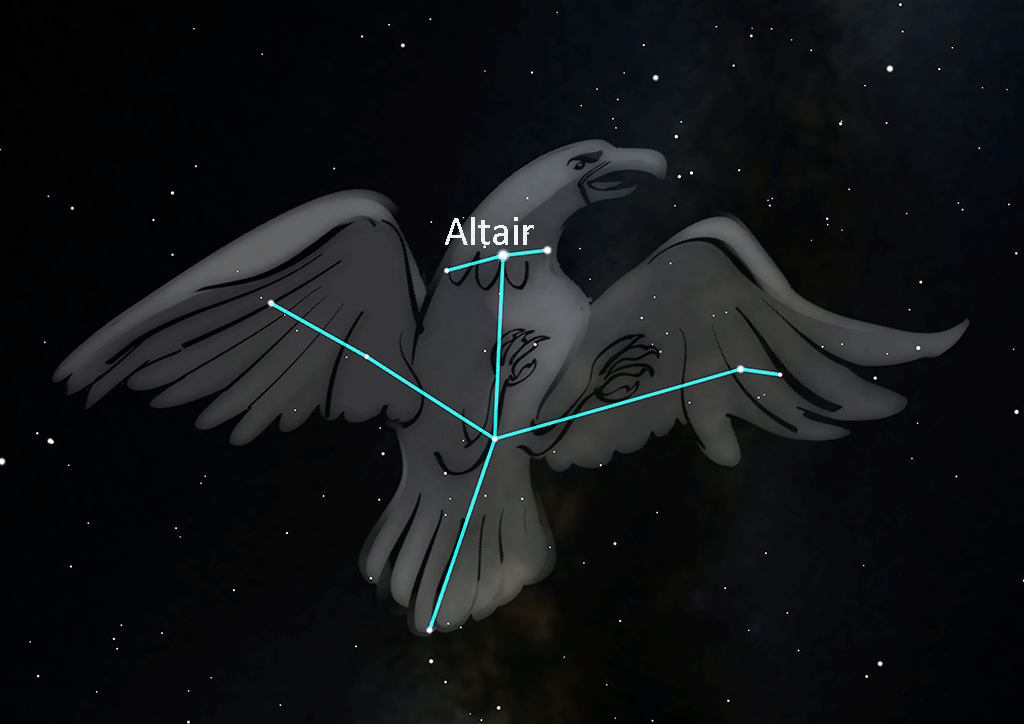 Aquila