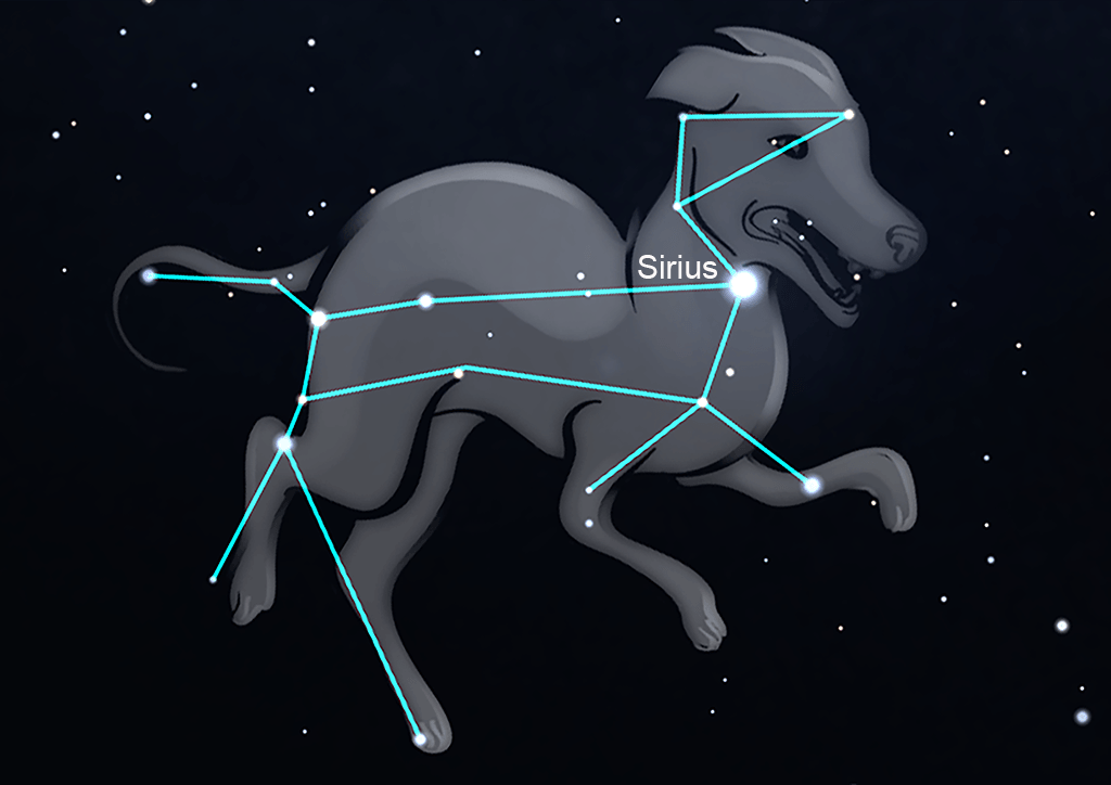 Canis Major