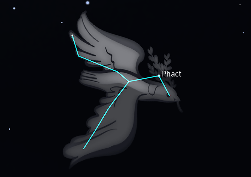 Columba