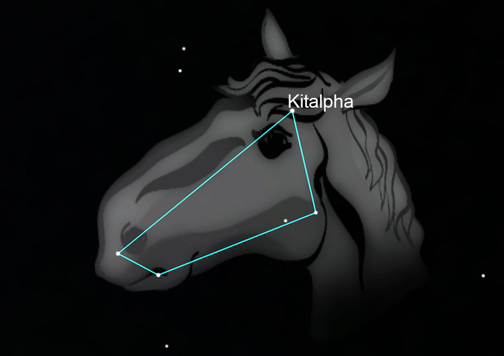Equuleus