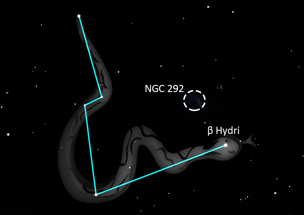Hydrus