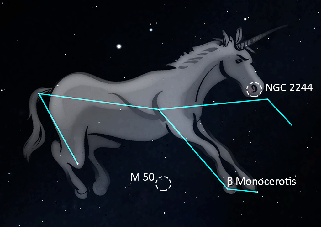Monoceros