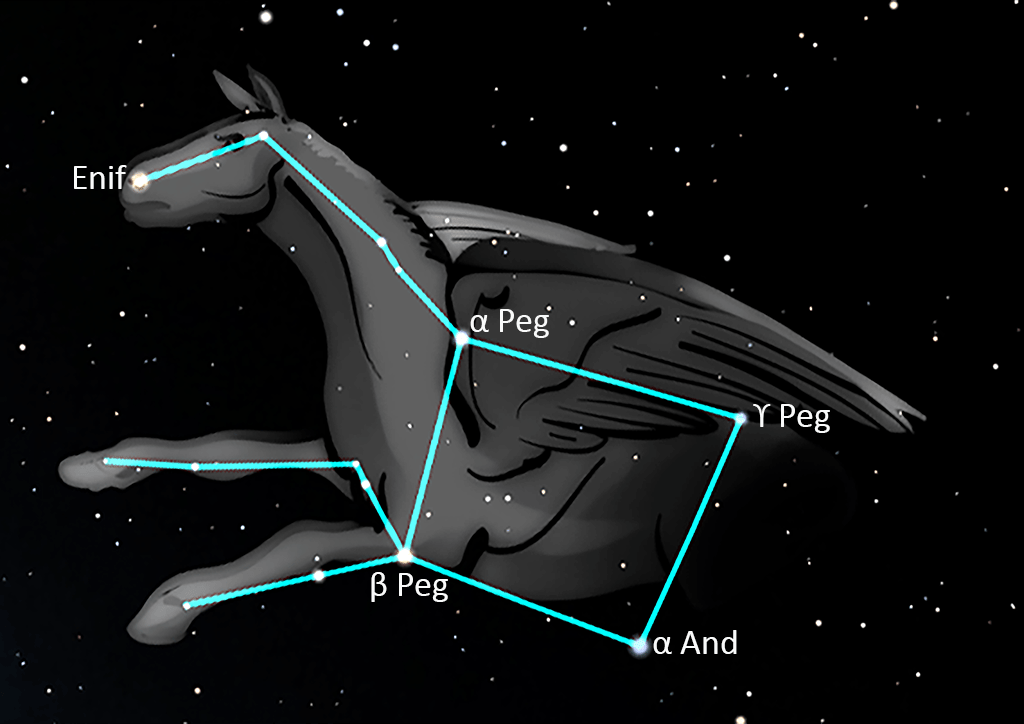 Pegasus