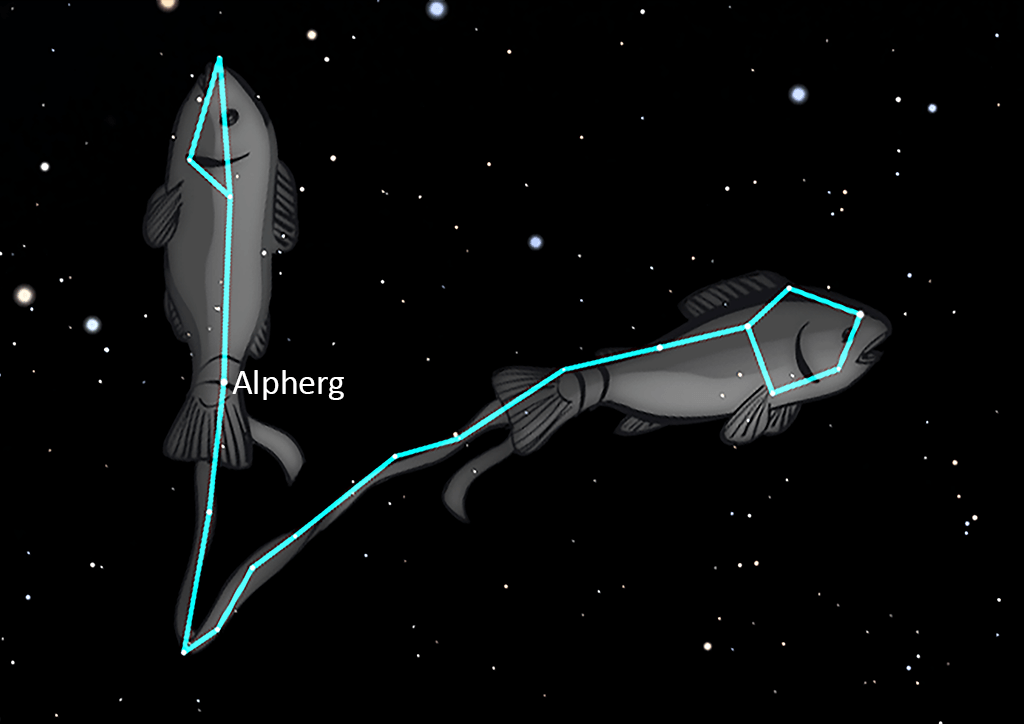 Pisces