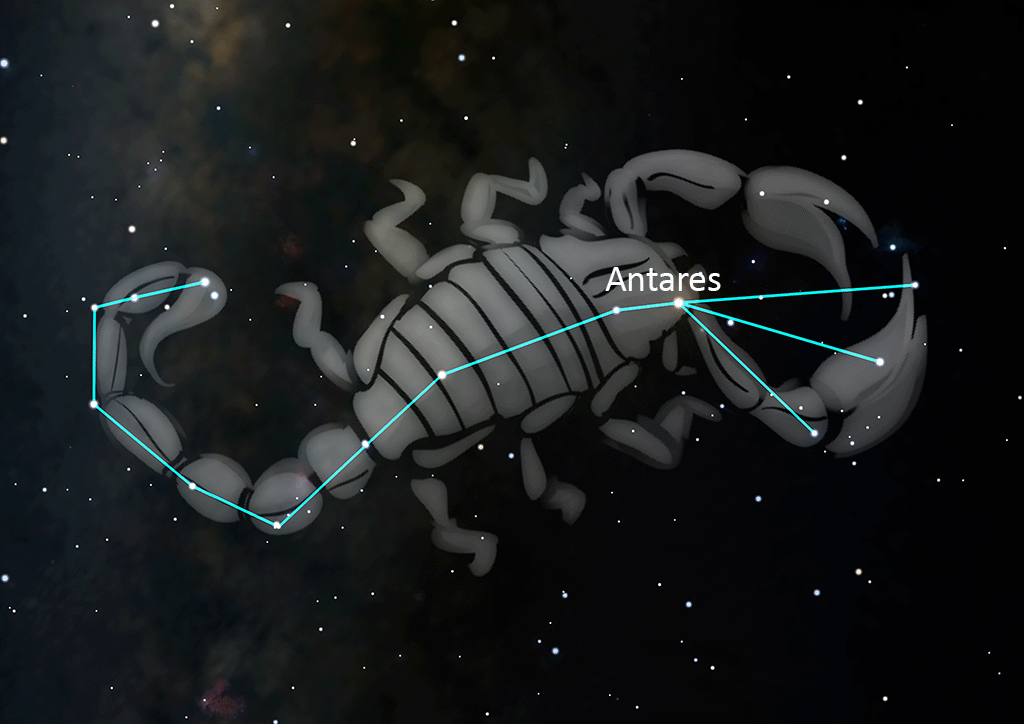 Scorpius