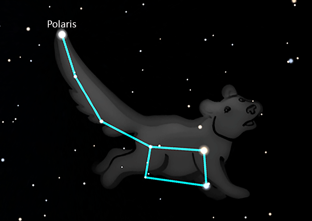 Ursa Minor