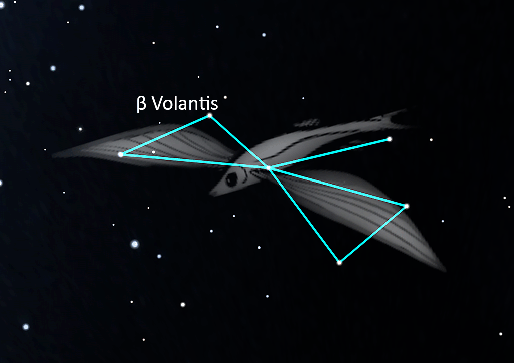 Volans